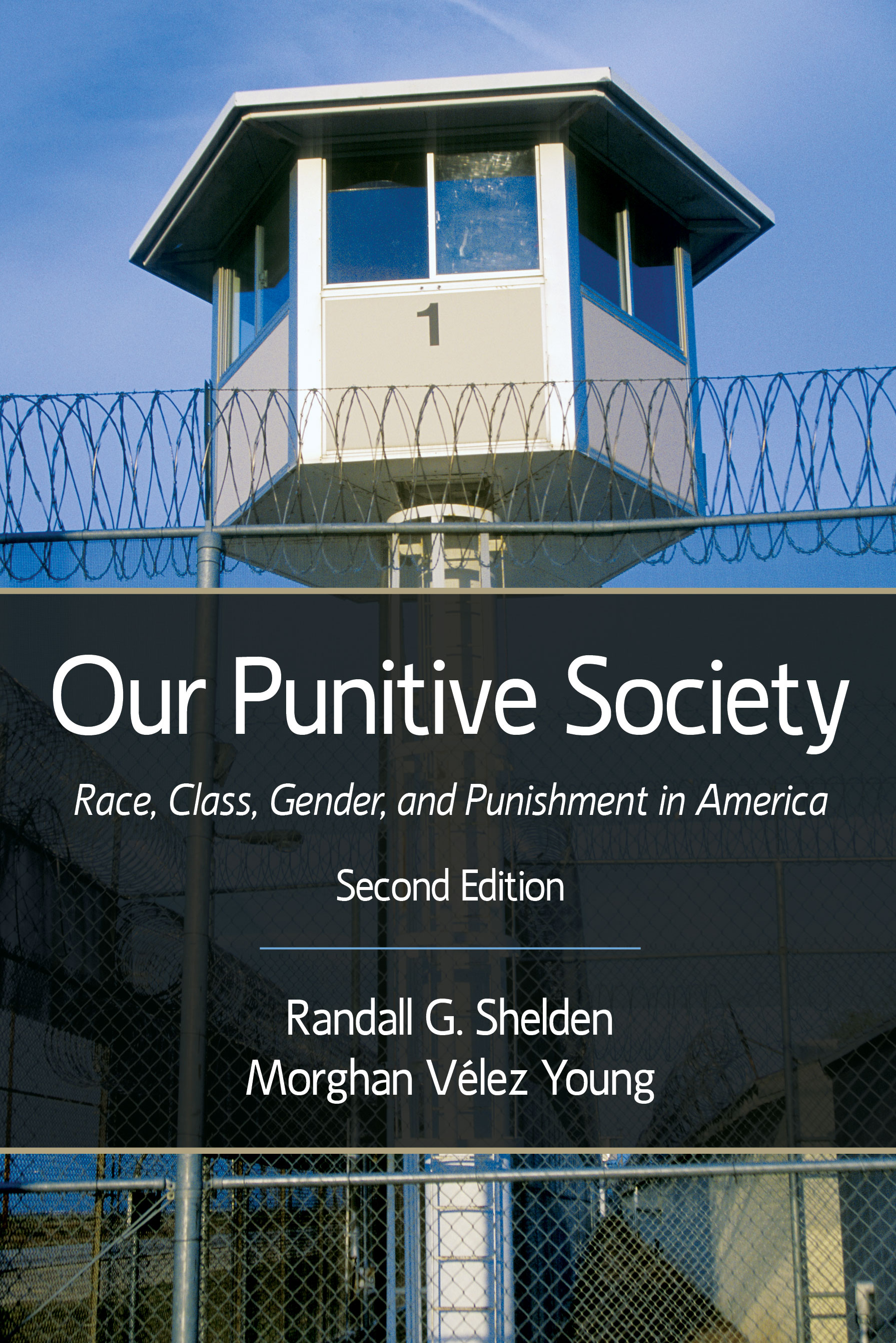 Our Punitive Society: Race, Class, Gender, and Punishment in America by Randall G. Shelden, Morghan  Vélez Young