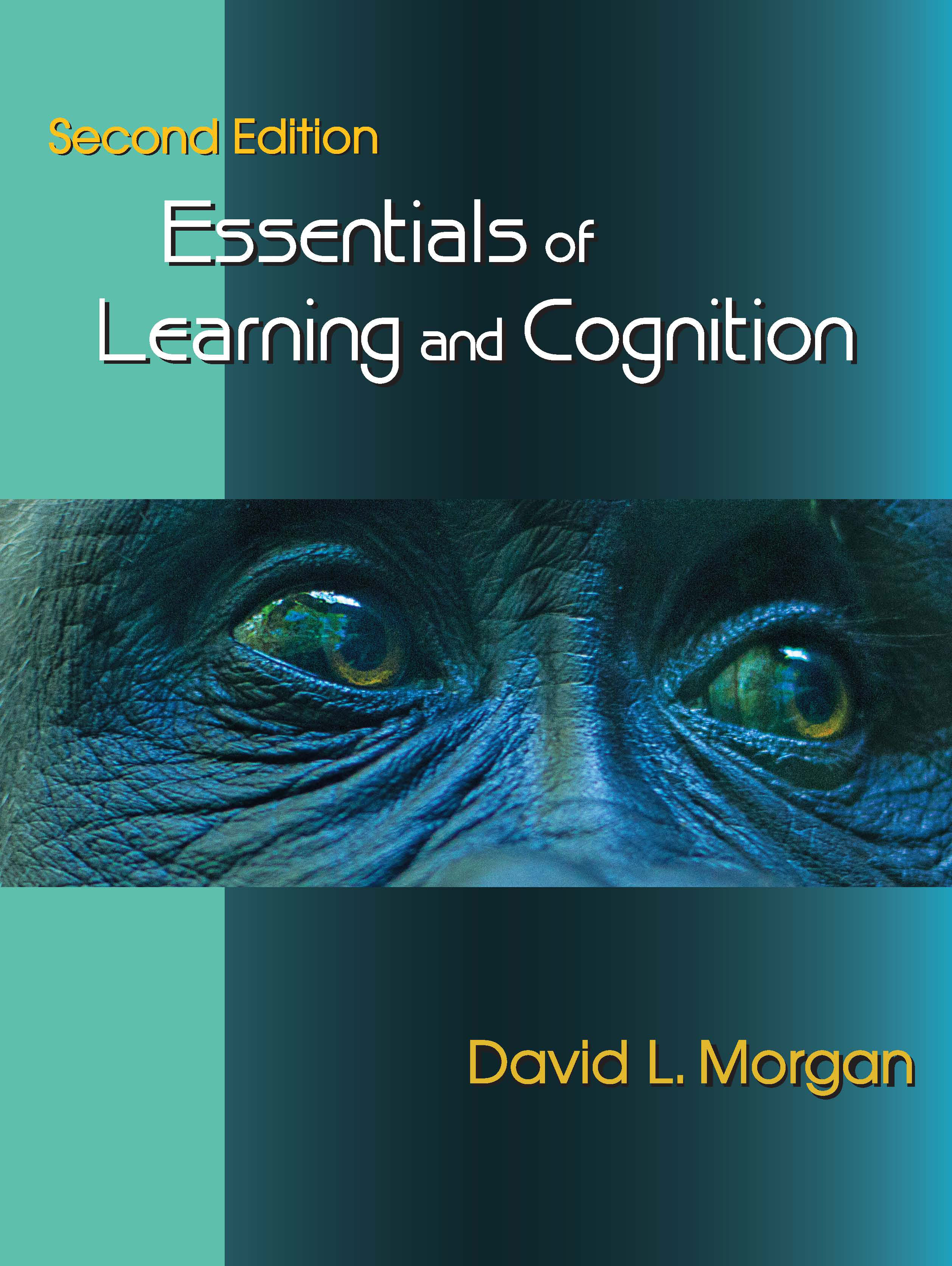 Essentials of Learning and Cognition:  by David L. Morgan