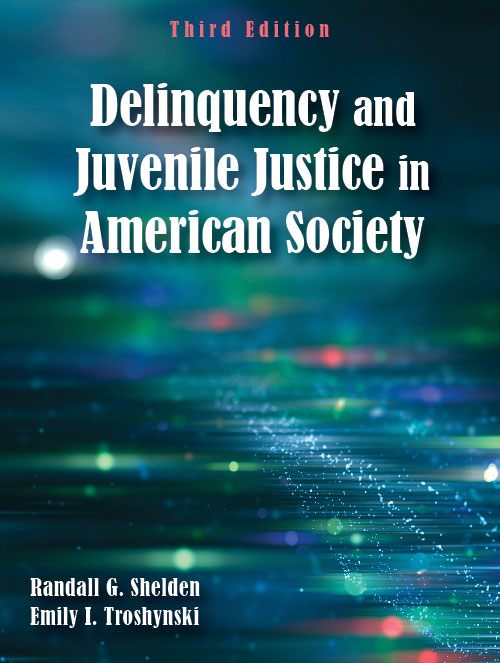 Delinquency and Juvenile Justice in American Society: Third Edition by Randall G. Shelden, Emily I. Troshynski