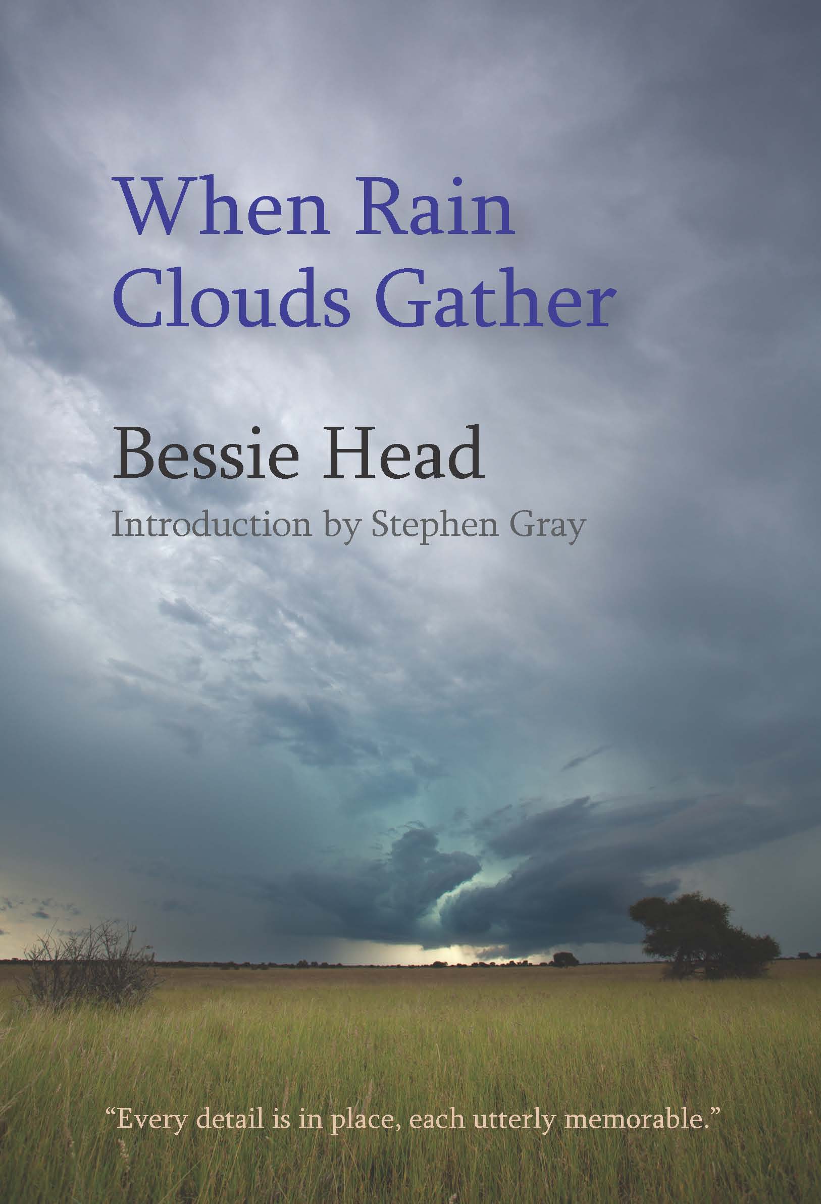 When Rain Clouds Gather:  by Bessie  Head