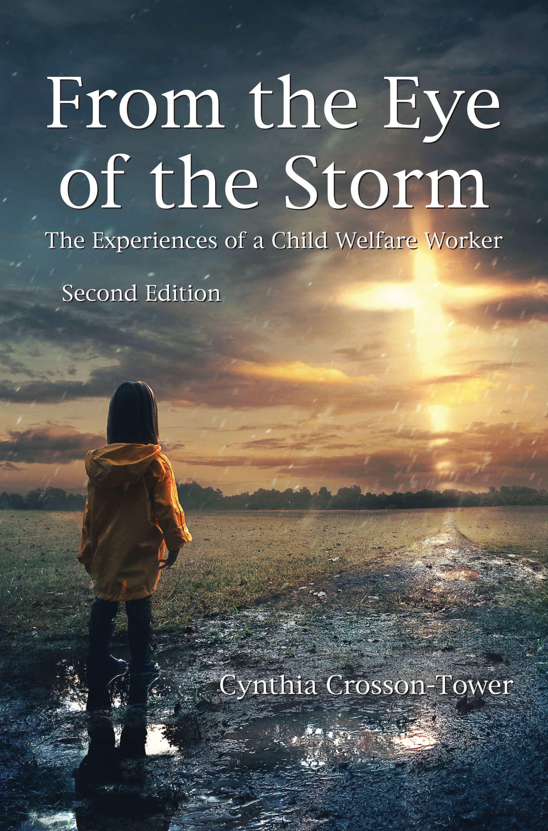 From the Eye of the Storm: The Experiences of a Child Welfare Worker by Cynthia  Crosson-Tower