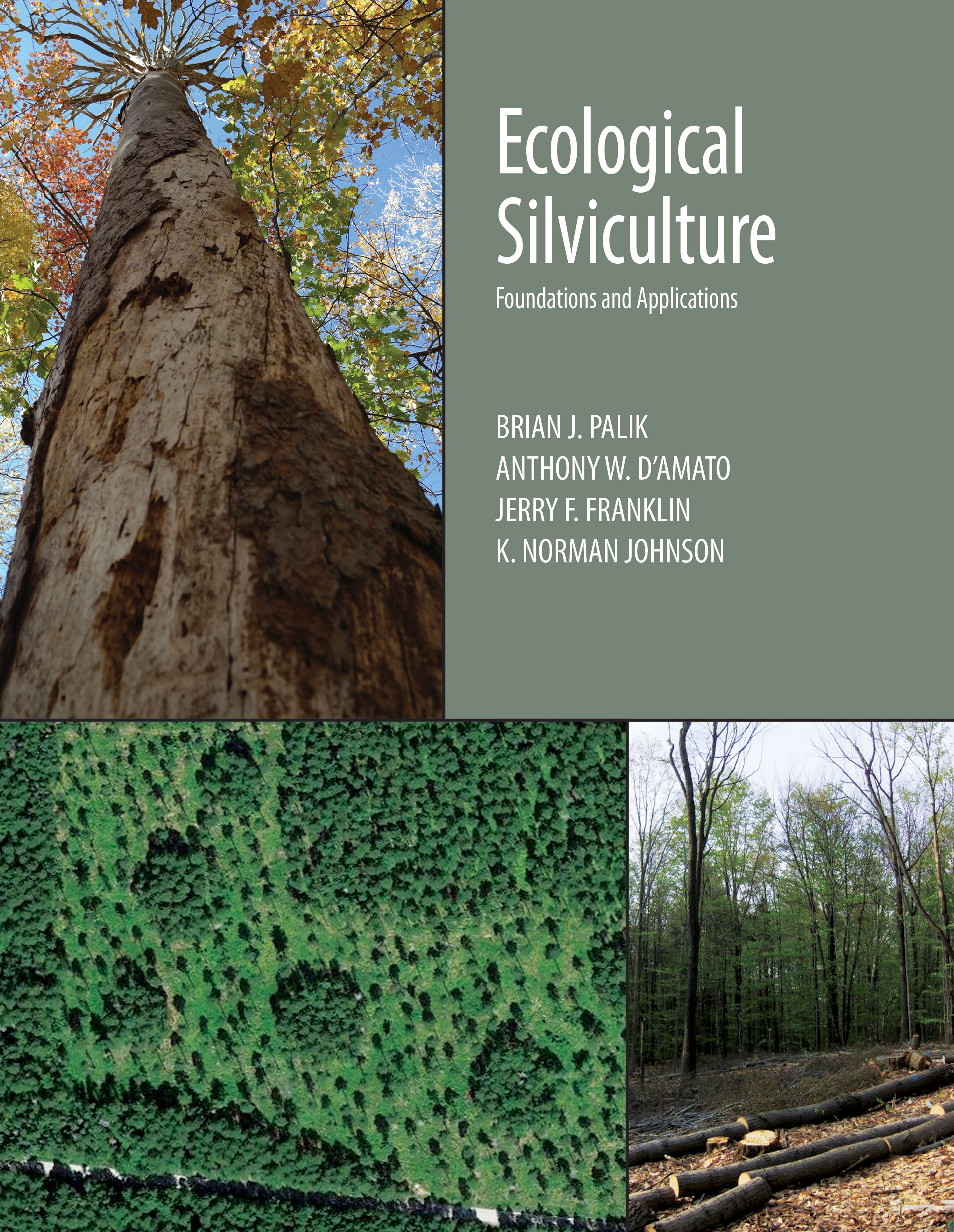 Ecological Silviculture: Foundations and Applications by Brian J. Palik, Anthony W. D