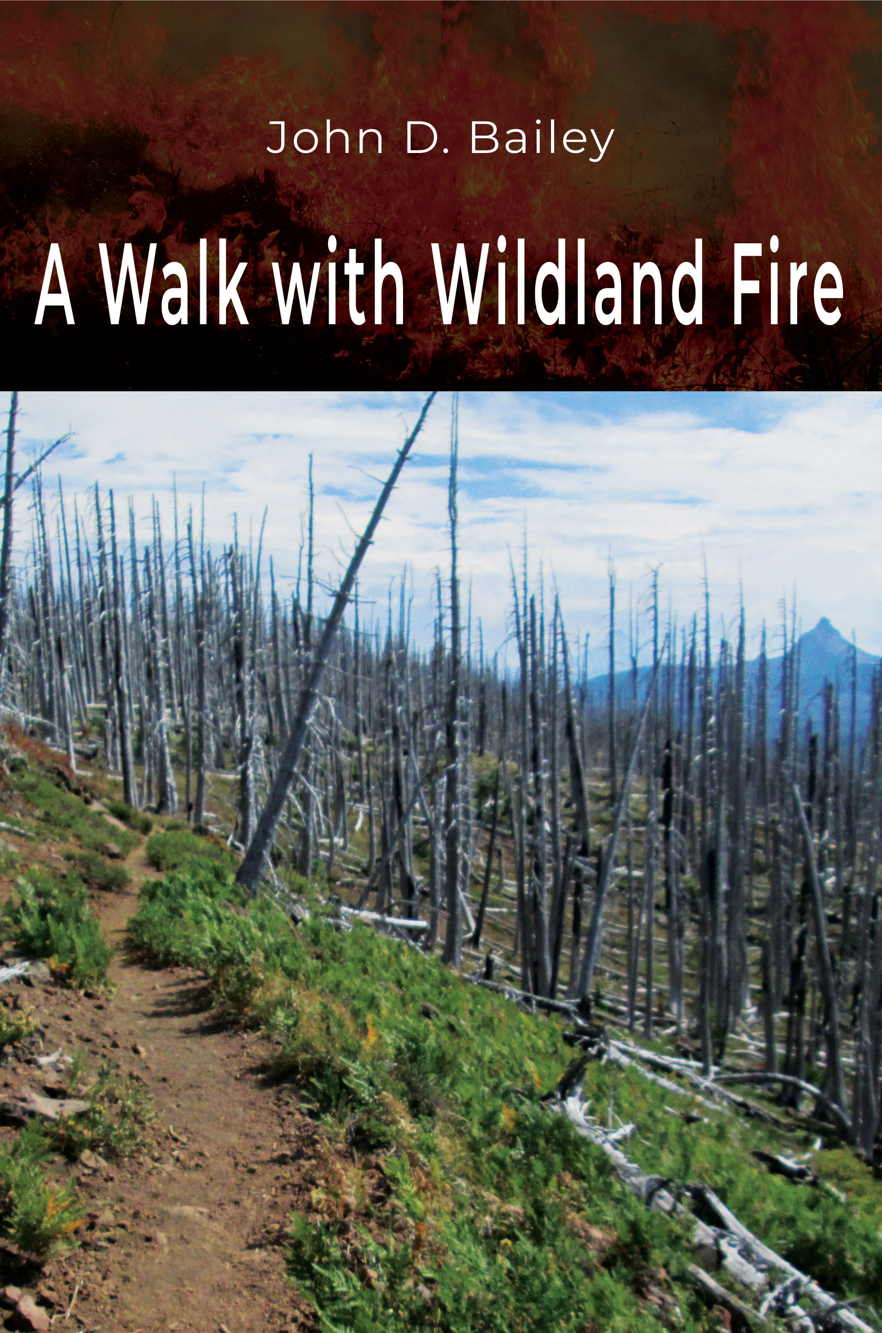 A Walk with Wildland Fire:  by John D. Bailey