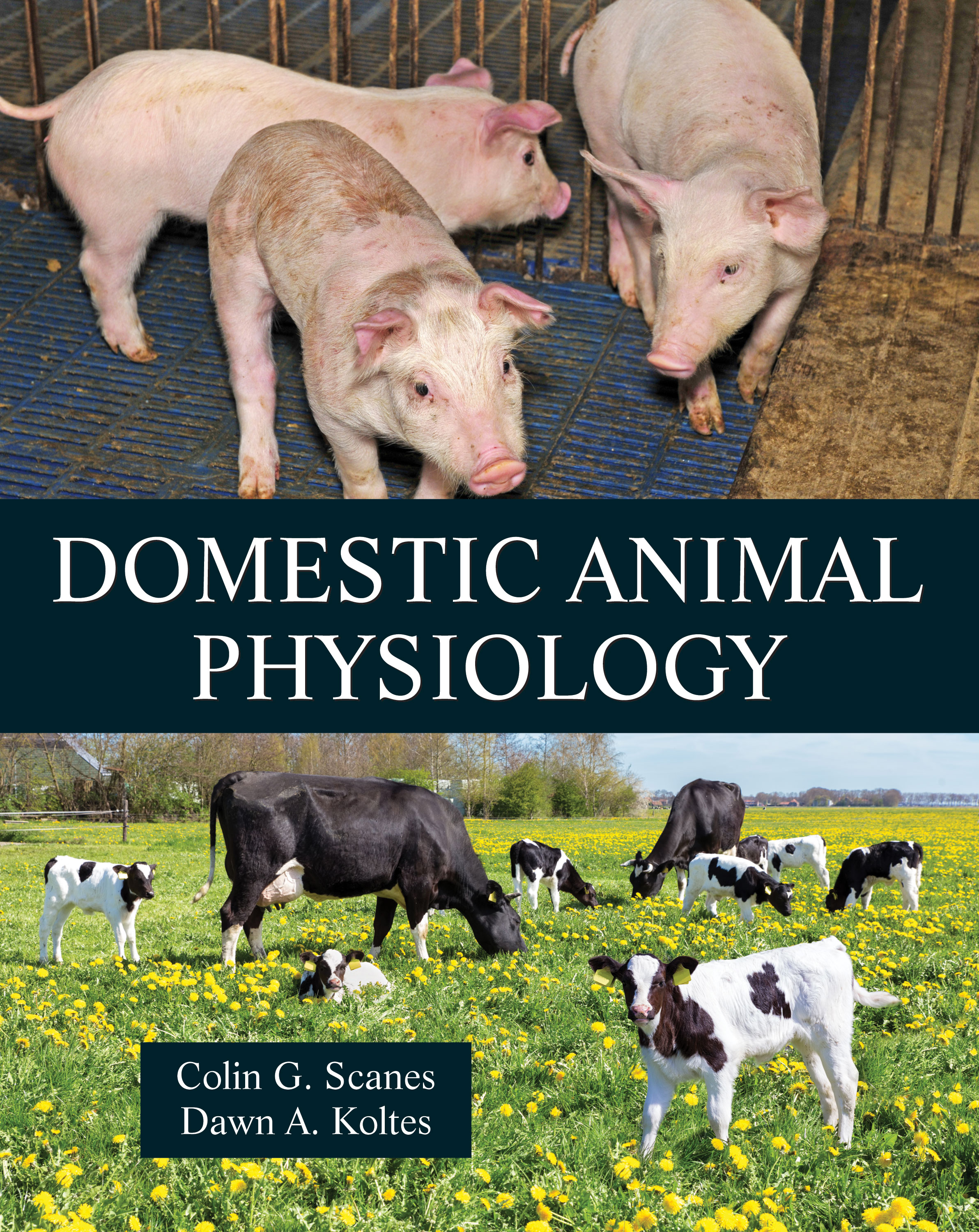 Domestic Animal Physiology:  by Colin G. Scanes, Dawn A. Koltes